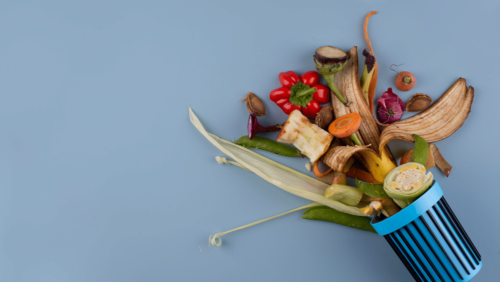 flower arrangement made of compost from trash food