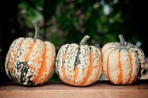 Pumkins